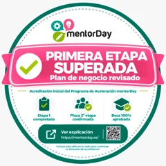 Primera etapa superada del Programa de Aceleración mentorDay